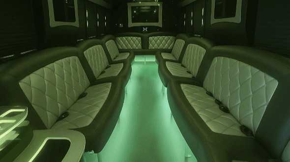 durham 20 passenger party bus